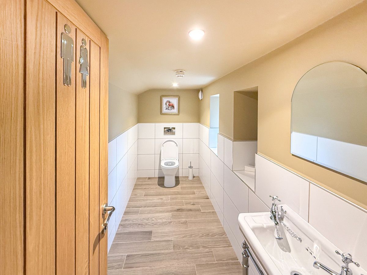Ein Badezimmer mit Holztür, Toilette, Waschbecken und Spiegel.