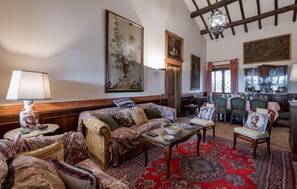 TV connectée, cheminée, lecteur de DVD