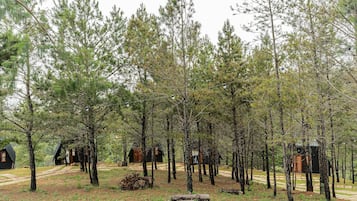 A forested area with multiple cabins, some with visible windows and doors, surrounded by trees and a clear path.