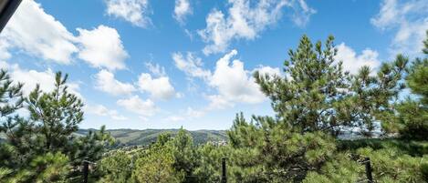 A view from a window overlooking a forested landscape with a clear sky.