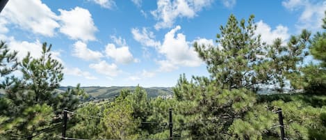 A wooden deck with a view of pine trees and distant hills.