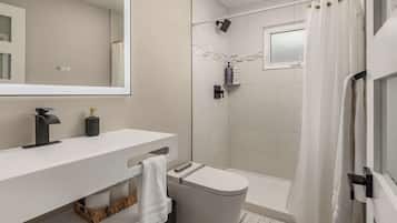 Shower, hair dryer, towels, shampoo