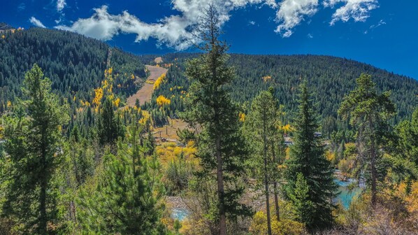 Miscellaneous - Walk to Lift | Hot tub/Pool/Sauna (Keystone)