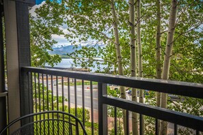 Property grounds - 5 Ski Resorts | Hot Tub/Pool/Lake (Dillon)