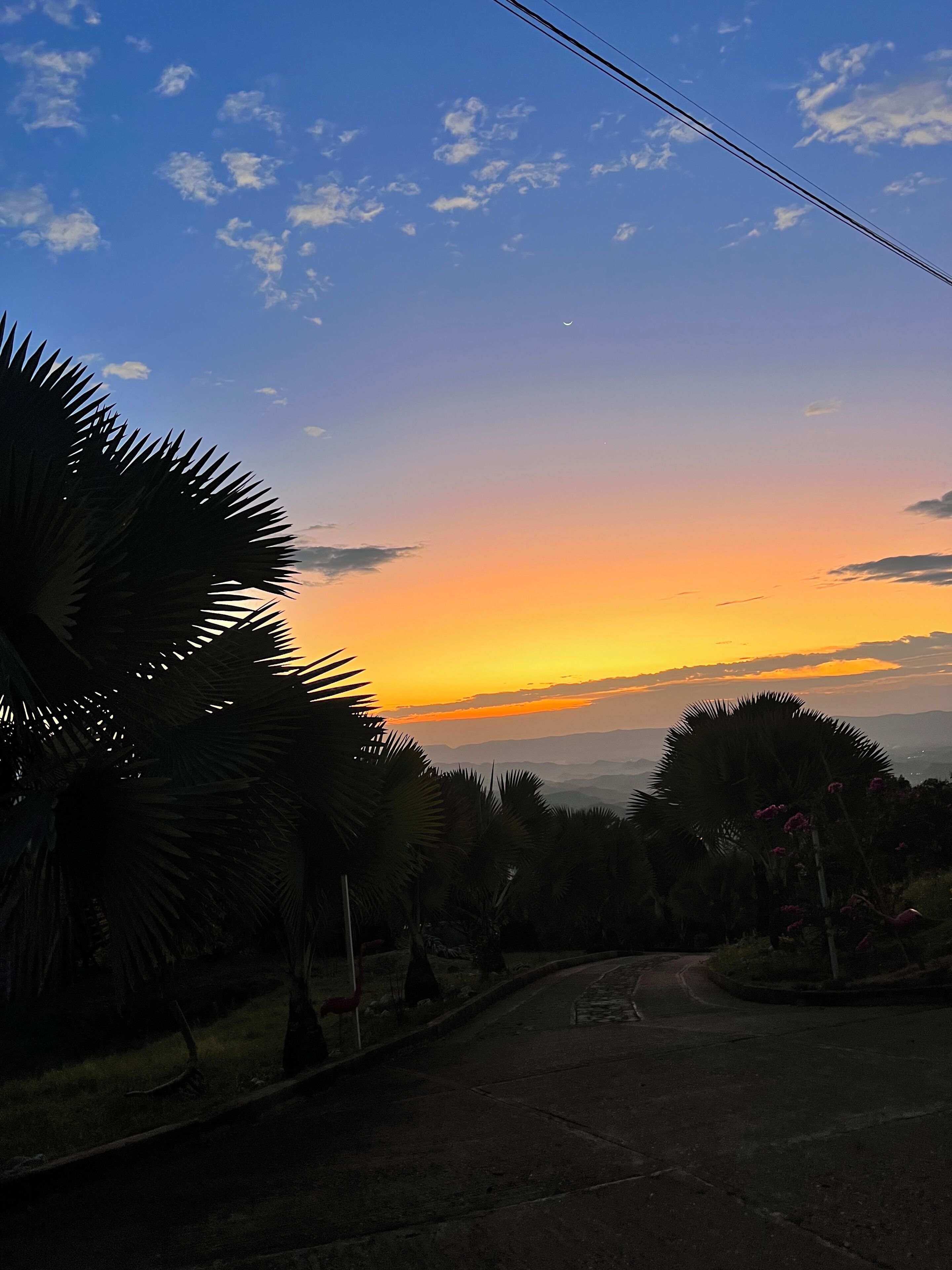Vista de un atardecer con palmeras y una carretera.