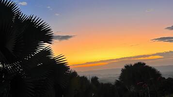 Vista de un atardecer con palmeras y una carretera.