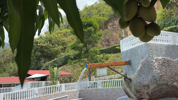 Ảnh chưa phân loại, 1 trong số 37 ảnh, nút