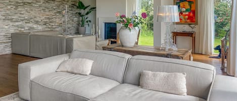 TV, fireplace