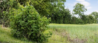 3 værelses skøn bolig i Nordborg