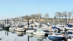 Un port de plaisance où de nombreux bateaux sont amarrés, avec une eau calme et des arbres en arrière-plan.