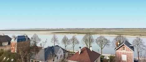 A residential area with houses and a river.