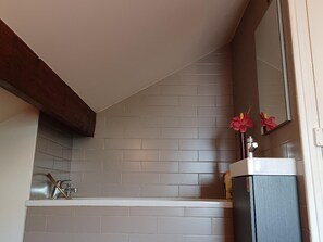 Shower, hair dryer, soap, toilet paper