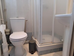 Shower, hair dryer, soap, toilet paper