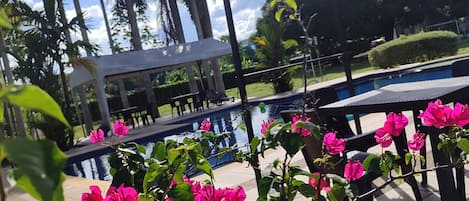 Piscine extérieure, parasols, chaises longues