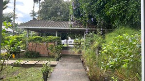 Un sentier mène à un pavillon abrité, doté d’un toit en tuiles, et entouré d’une végétation luxuriante et de diverses plantes.