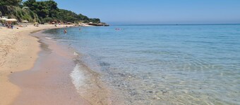 JUNGLE HOUSE EXOTIC PRIVATE SWIMMING POOL-IT092050C2000R6014