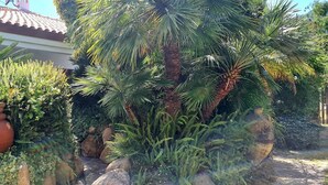 Property grounds - JUNGLE HOUSE EXOTIC PRIVATE SWIMMING POOL-IT092050C2000R6014 (Santa Margherita di Pula)