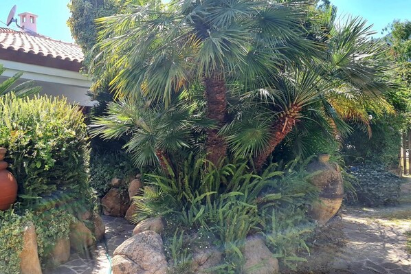 Terrain de l’hébergement 