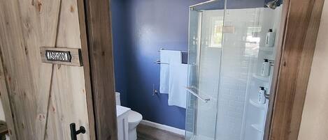 Ein Badezimmer mit blauer Wand, einer Duschkabine aus Glas, einer Toilette und einem Waschbecken.