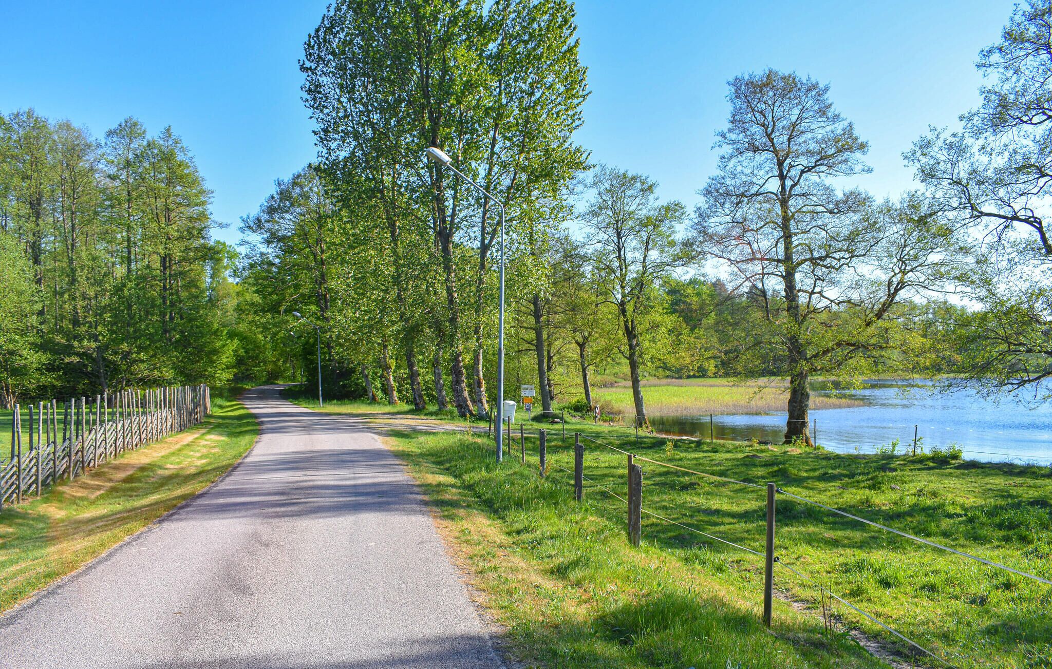 A paved pathway flanked by a wooden fence and trees, leading towards a body of water.