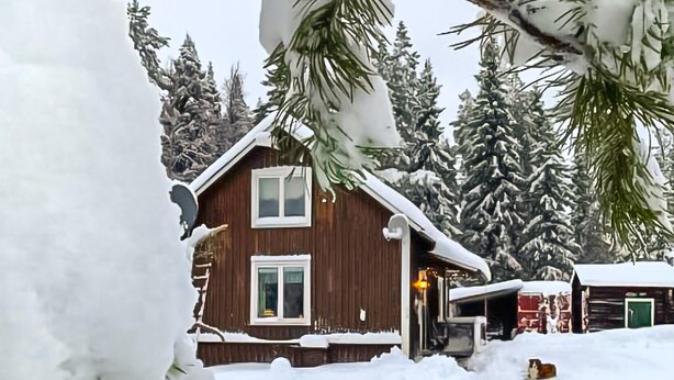 Uklassifisert bilde, 1 av 17, knapp