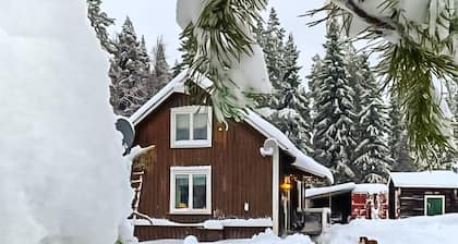 Schönes Haus in Överkalix mit Sauna