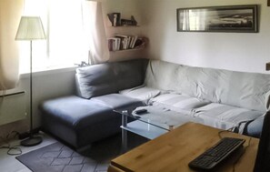 TV, fireplace, DVD player