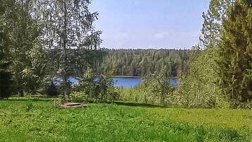 A natural landscape with a lake, trees, and a grassy foreground.