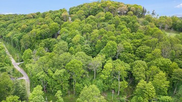 Un paisaje montañoso cubierto de bosque denso con una carretera sinuosa.