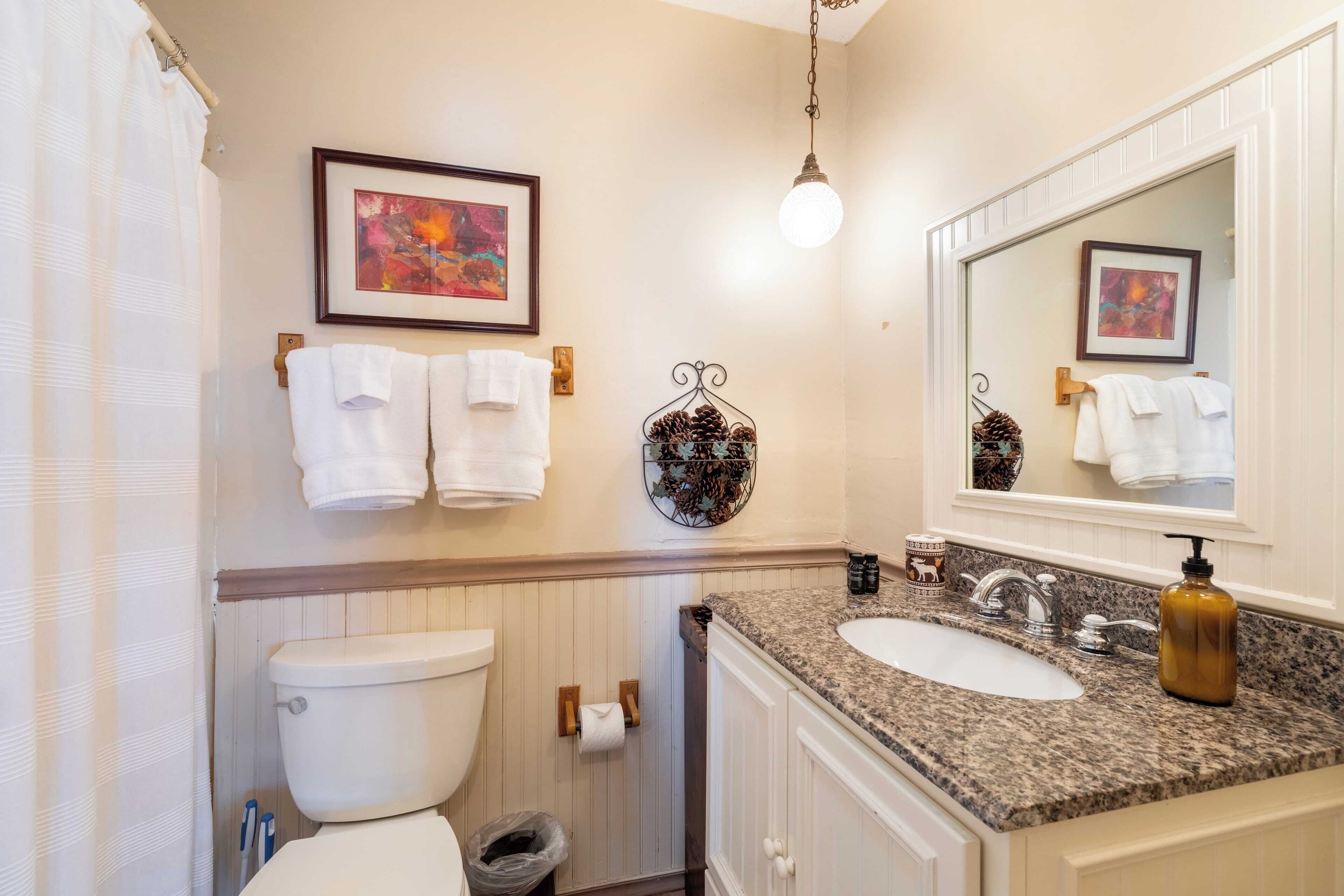A bathroom with a toilet, sink, and mirror. There are towels hanging on the wall and a framed picture above the mirror.