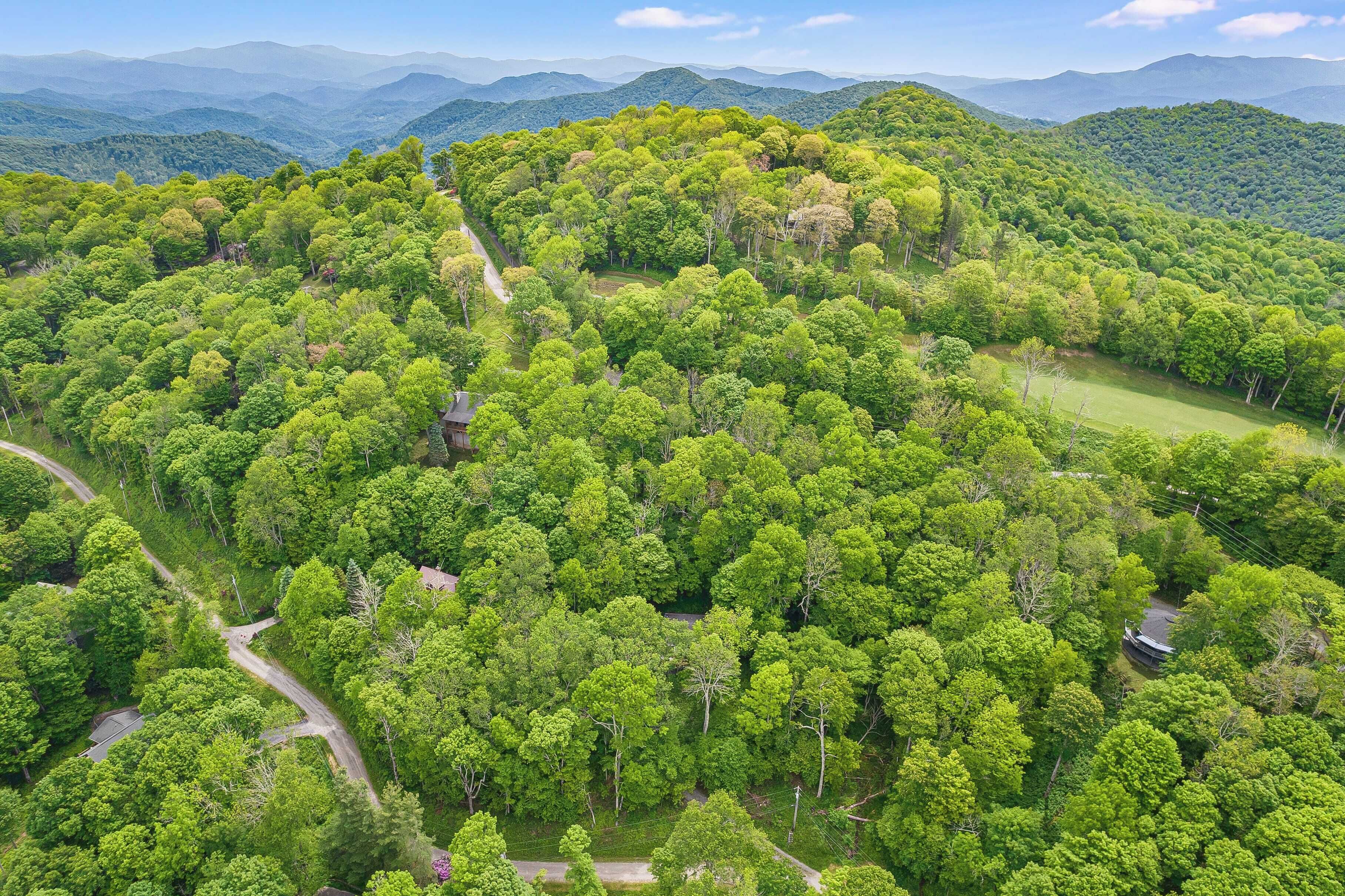 Une vue aérienne d’une zone forestière verdoyante et luxuriante, avec des routes sinueuses et un petit bâtiment.