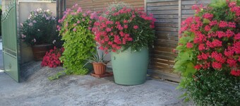 Maison Dans LE Perigord Pourpre A 5 MnD Eymet