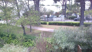A garden area with a wooden bench, a fence, and various plants.