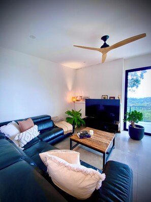 Smart-TV, DVD-spiller og bøker