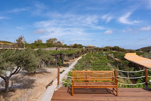A wooden bench on a deck overlooking a vineyard with a clear sky. - Apartment 'Cocoon' with Sea View, Wi-Fi and Air Conditioning (Milos)