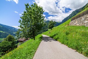 A paved path in a hilly area with a stone wall on one side and a tree on the other. - Holiday Apartment 'Almbergerhof Wohnung Hirzer' with Mountain View and Balcony (San Martino In Passiria)