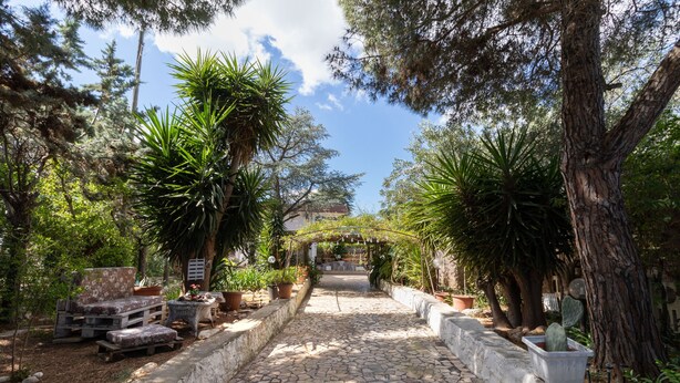 Uma trilha de pedra serpenteia por um jardim com plantas em vasos e móveis de madeira.