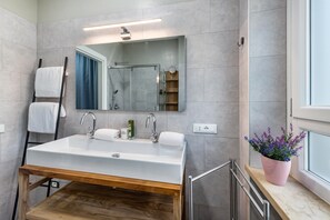 Shower, hair dryer, towels