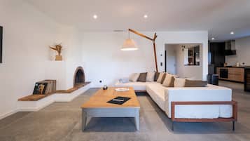 TV, fireplace, ping pong