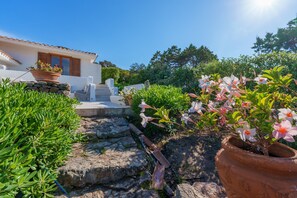 A house with a stone staircase, a potted plant, and a garden.
