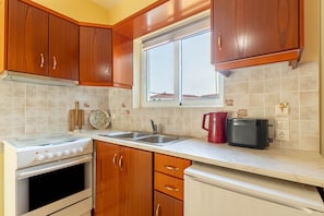 Fridge, oven, stovetop, electric kettle