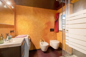 Shower, hair dryer, towels - Apartment 'Maison De La Musique' with Mountain View, Shared Terrace and Wi-Fi (Cogne)
