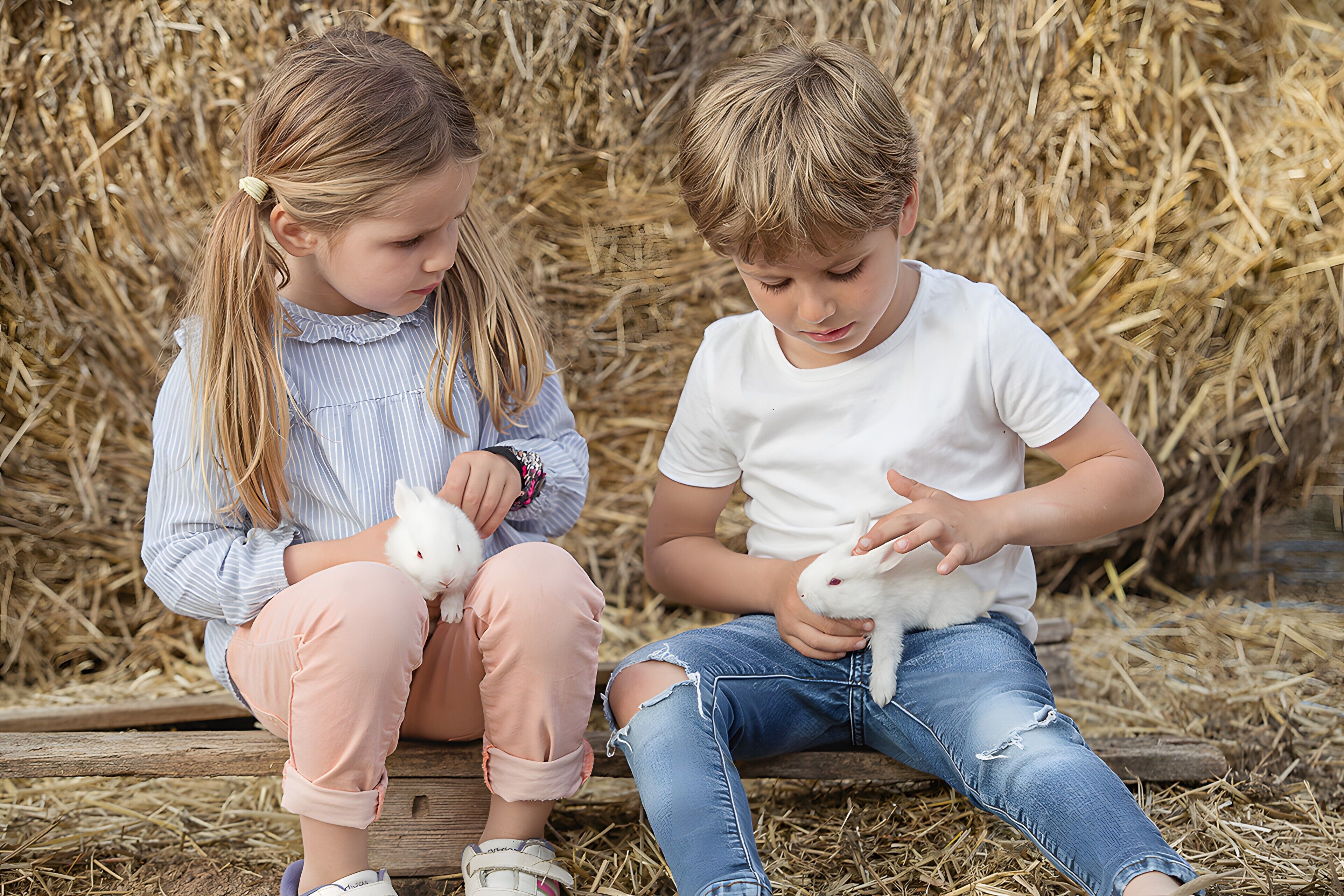 Two children sitting on a wooden bench outdoors with hay in the background.
