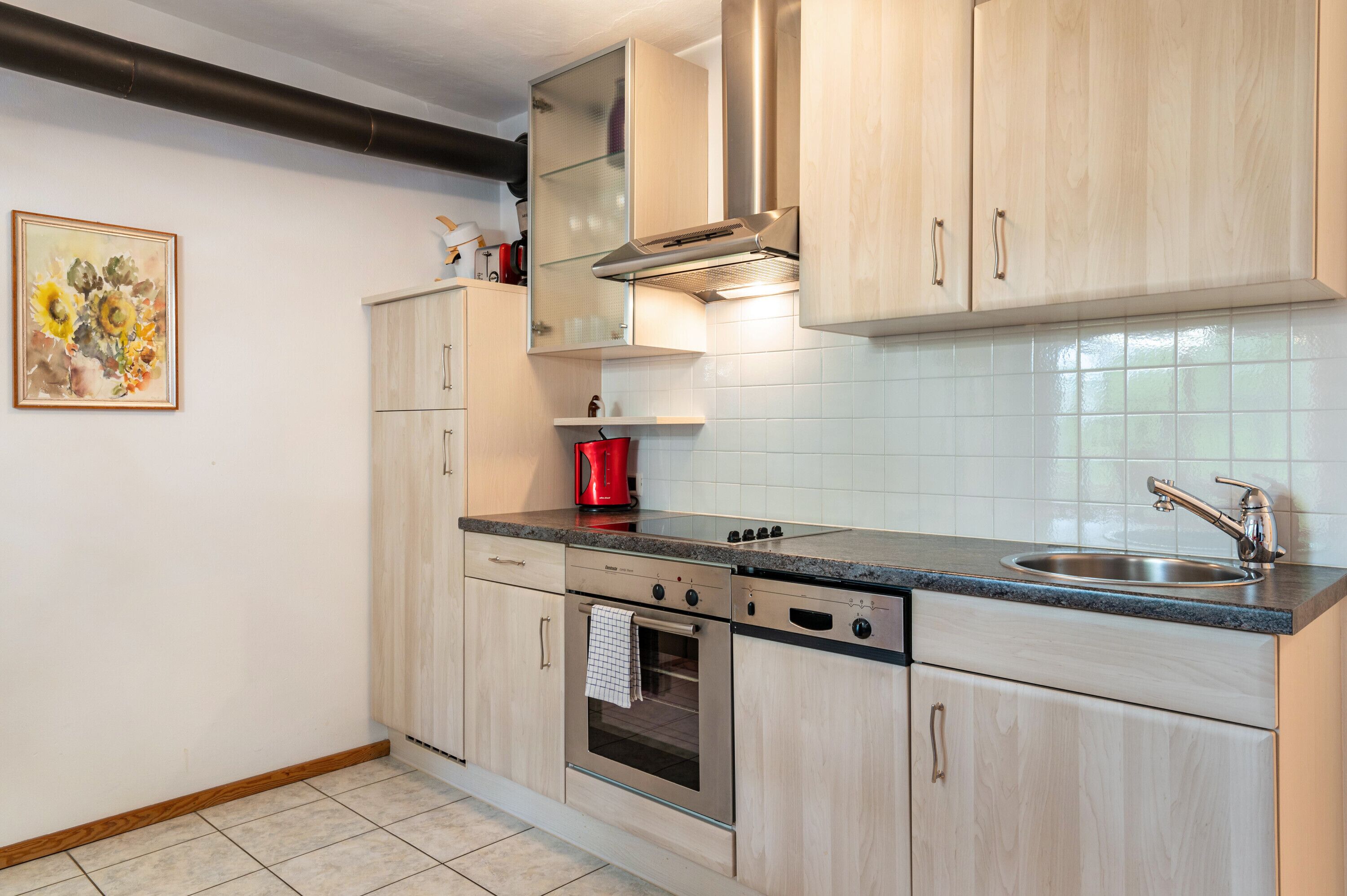 Kühlschrank, Ofen, Herdplatte, Geschirrspüler