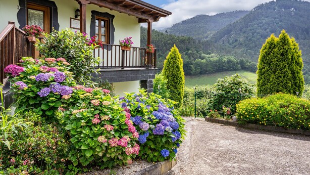 A house with a balcony, surrounded by lush greenery and a mountainous backdrop. - Holiday Home 'Maseda 2' with Mountain Views, Shared Terrace & Private Garden (Villayon)