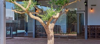 Maison de vacances 'Casa Rural Olivar De La Marquesa' avec piscine privée, Wi-Fi et climatisation