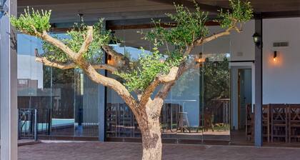 Maison de vacances 'Casa Rural Olivar De La Marquesa' avec piscine privée, Wi-Fi et climatisation