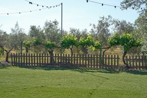 Terrein van de accommodatie