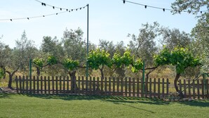 A fenced outdoor area with trees and string lights.