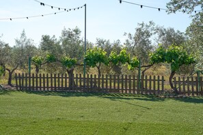 Terrain de l’hébergement 